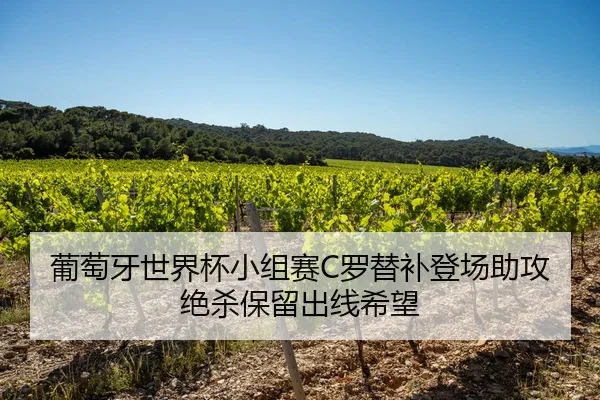 葡萄牙世界杯小组赛C罗替补登场助攻绝杀保留出线希望